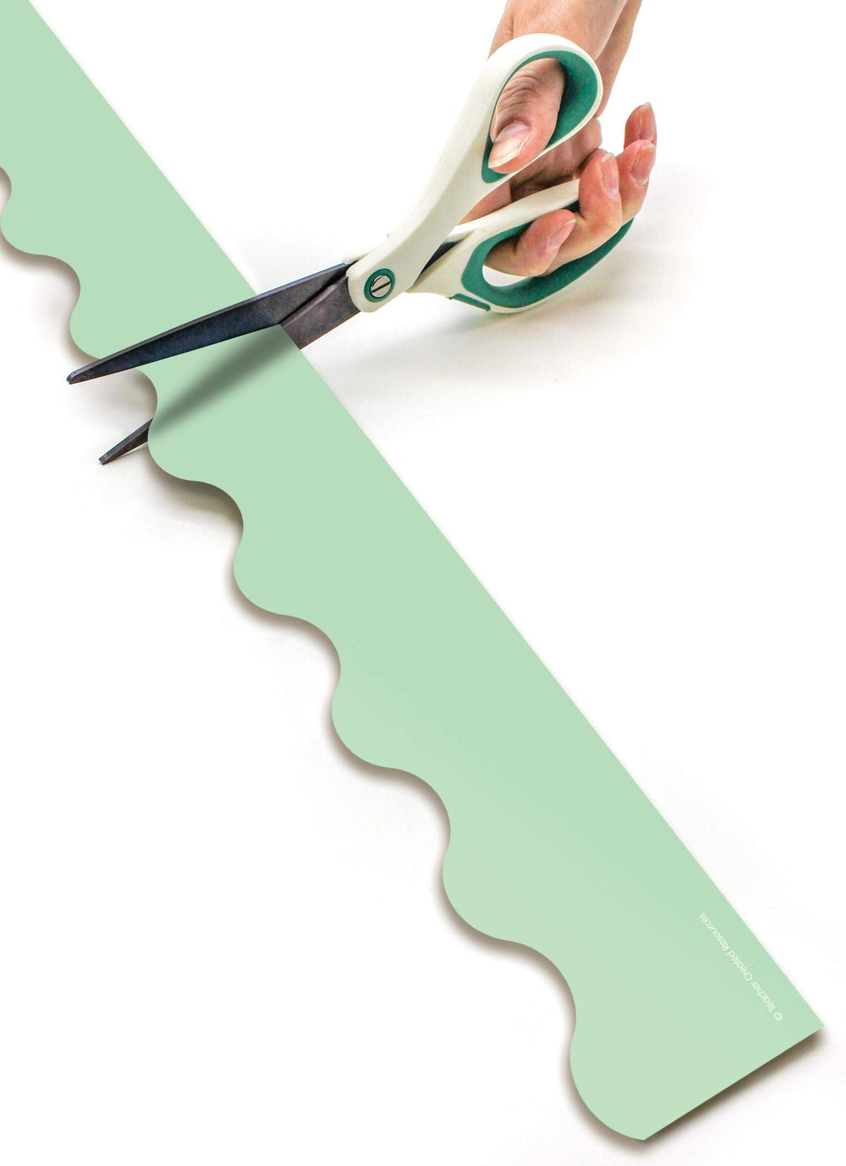 Teacher Created Resources Mint Green Scalloped Rolled Border Trim - 50ft - Decorate Bulletin Boards, Walls, Desks, Windows, Doors, Lockers, Schools, Classrooms, Homeschool & Offices