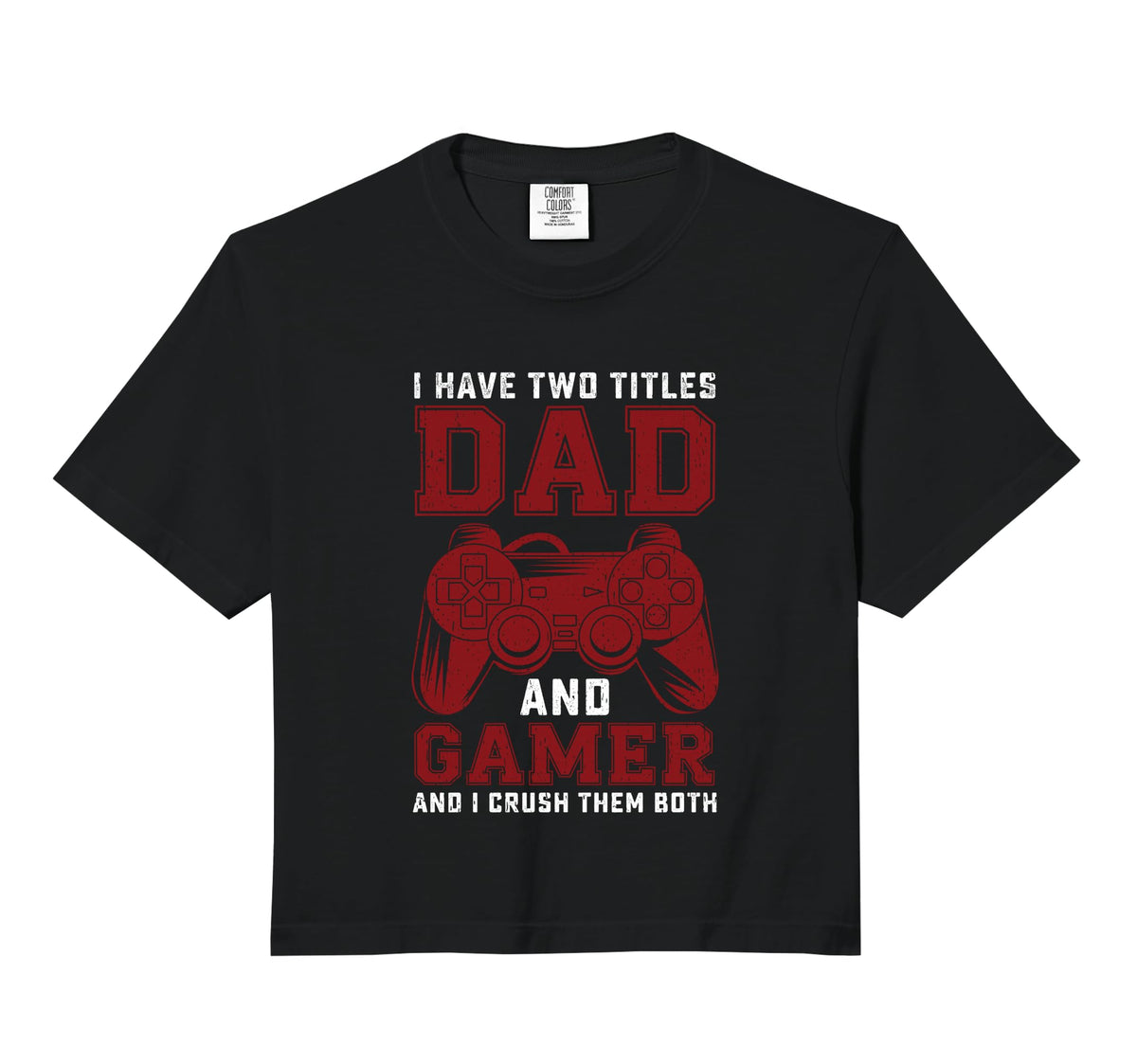 I Have Two Titles Dad And Gamer Funny Hoodie - Minimalist Print Men Women