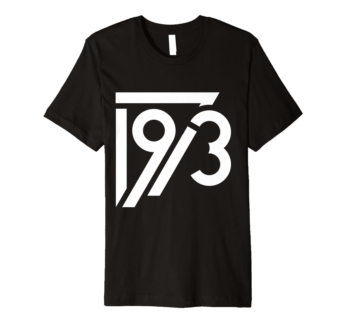 1973 Birthday Grunge Alternative T-Shirt - Casual Everyday Wear Men Women
