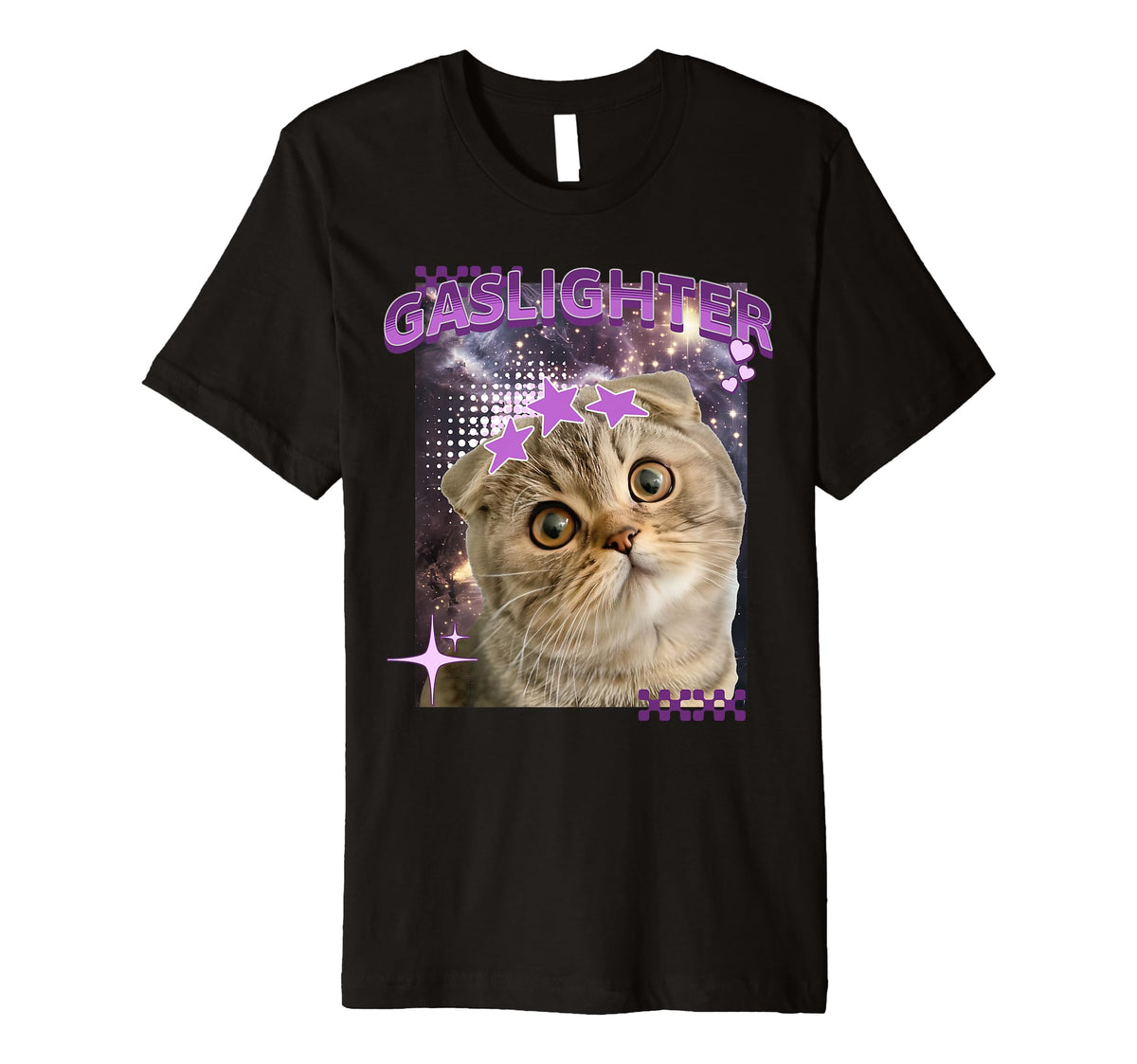 Gaslighter Ragdoll Kitten Y2K Cat T-Shirt - Streetwear Style Men Women