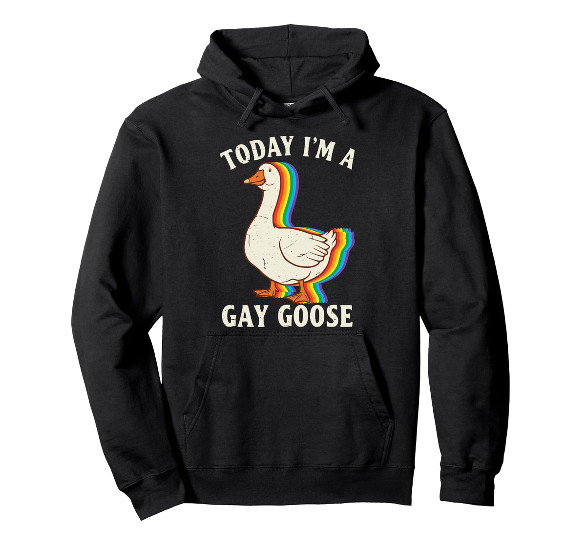 Today Im Gay Goose Rainbow Pride Flag Hoodie - Graphic Print for Adults