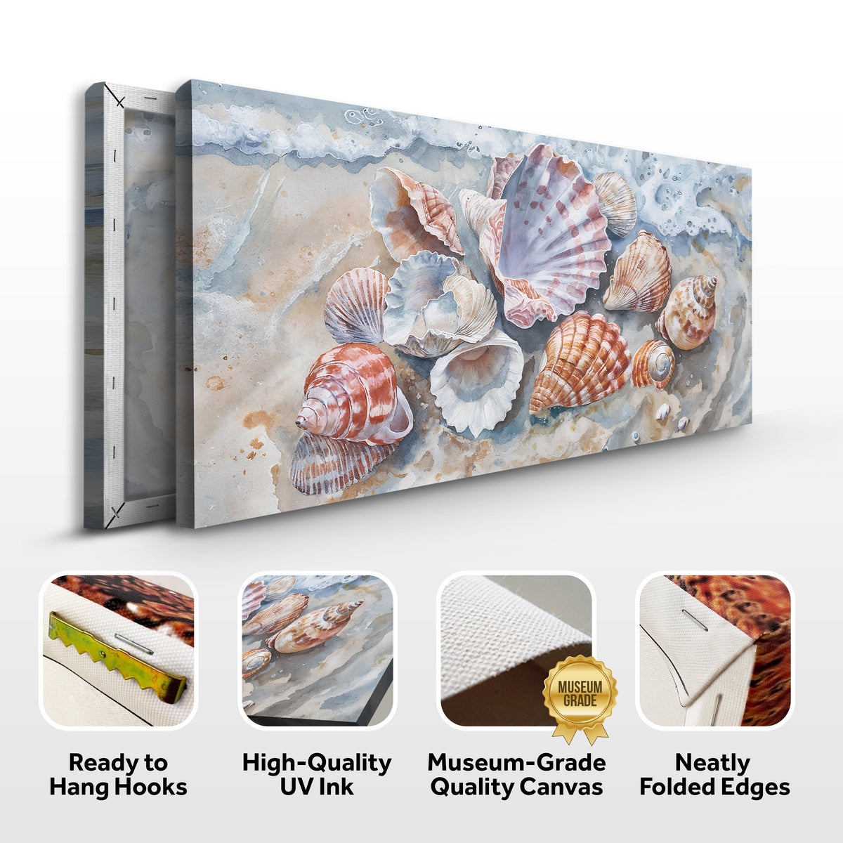 Sea Shells Modern Coastal Wall Art