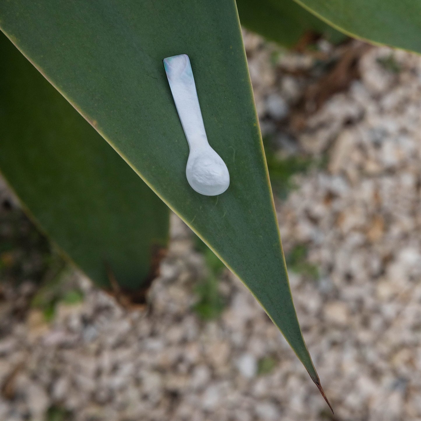 Body Butter + Mother of Pearl Spoon
